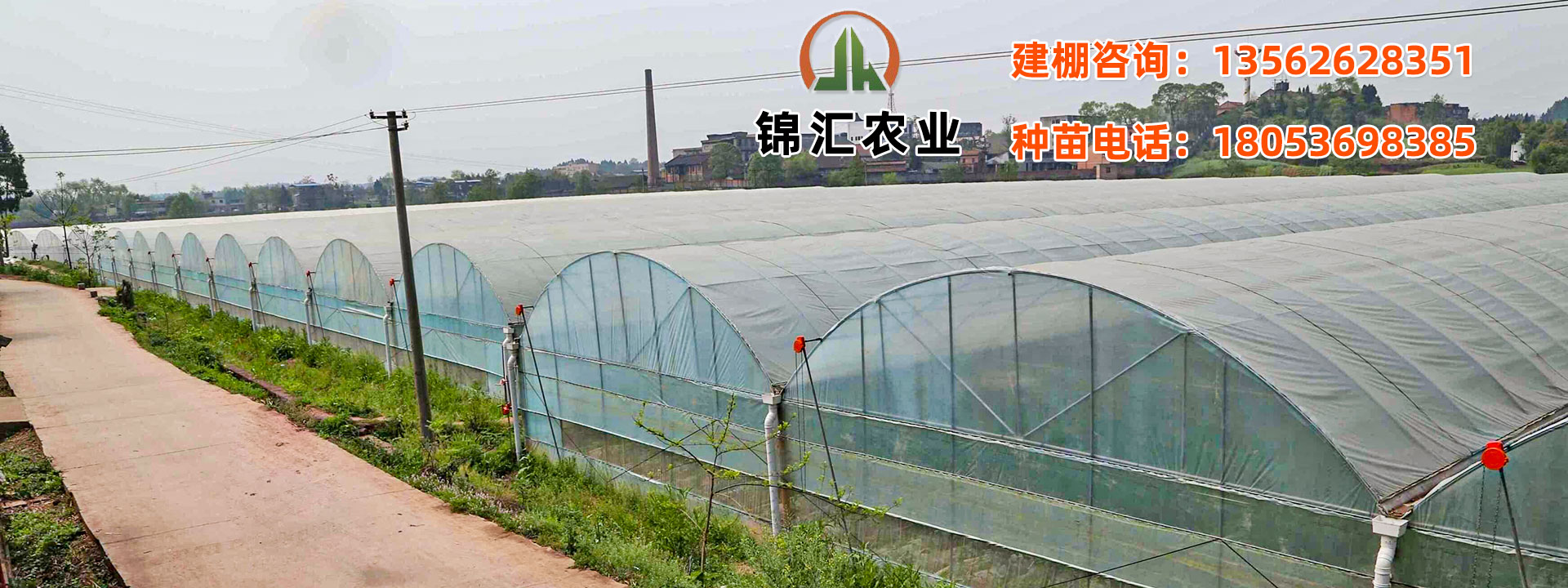 壽光市錦匯農(nóng)業(yè)發(fā)展有限公司